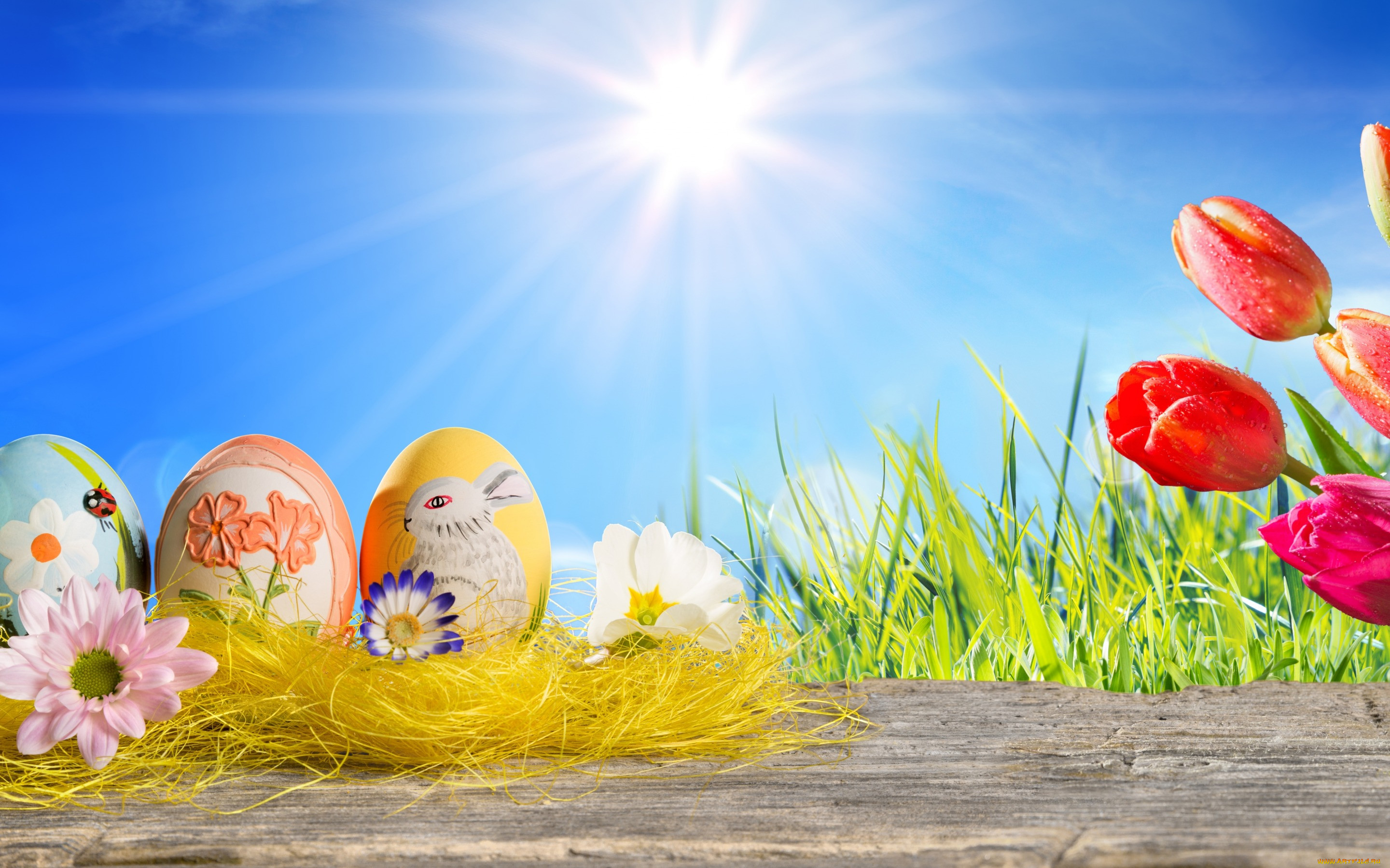 , , happy, easter, spring, sunshine, eggs, tulips, , , , , , 